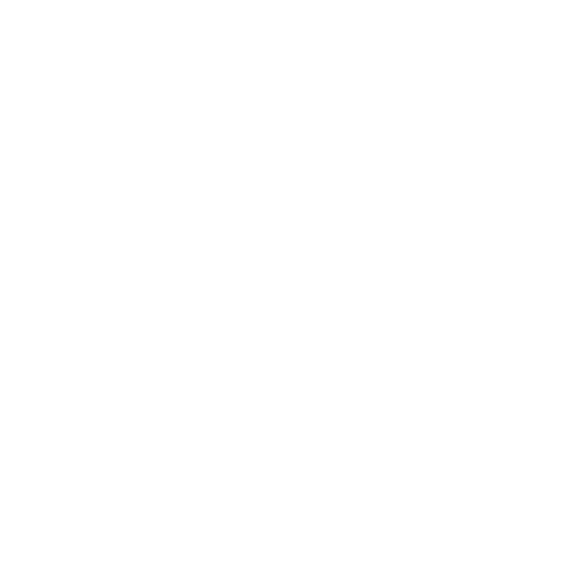 Fast Charging Solutions