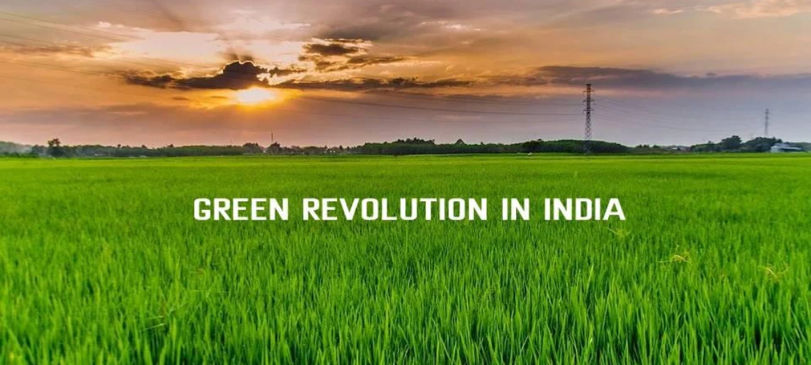 Green Revolution in India: Future of Workforce